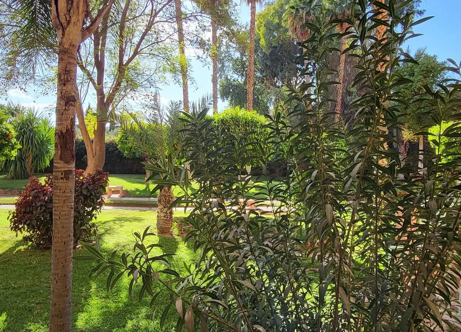 דירות מרקש Oxygene מרוקו